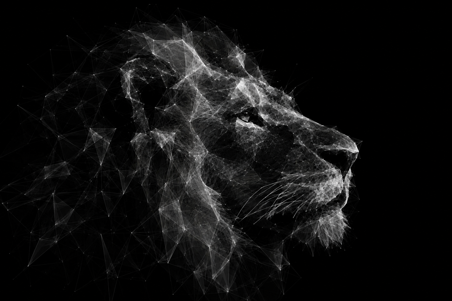 Portrait of a lion gazing upward